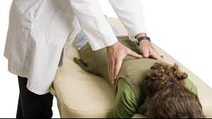 Chiropractor Biasanya Menangani Pasien Dalam Kondisi Seperti Berikut Ini