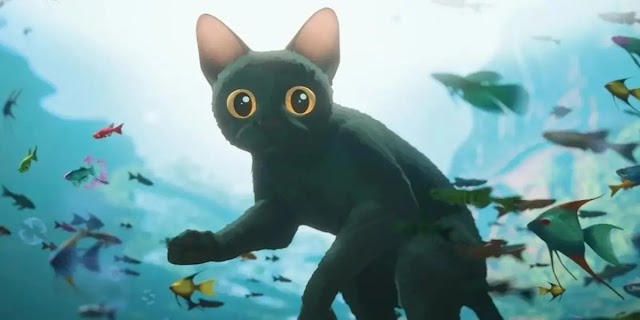 Desvendando Flow: o filme de animação que é sucesso internacional.