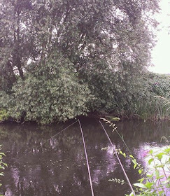 River Derwent barbel swims