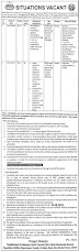 Population Welfare Department Jobs Lahore 2023