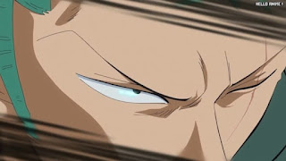 ワンピースアニメ 魚人島編 574話 ロロノア・ゾロ Roronoa Zoro | ONE PIECE Episode 574