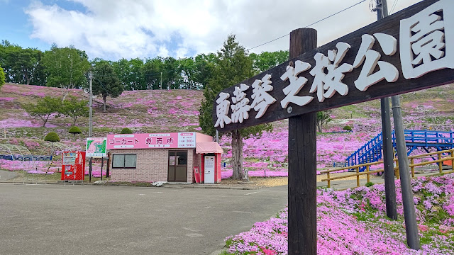 北海道 ひがしもこと芝桜公園