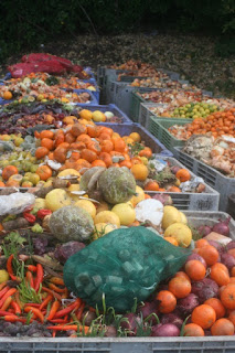 FareShare Food Surplus