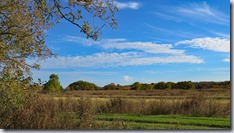 IMG_4985
