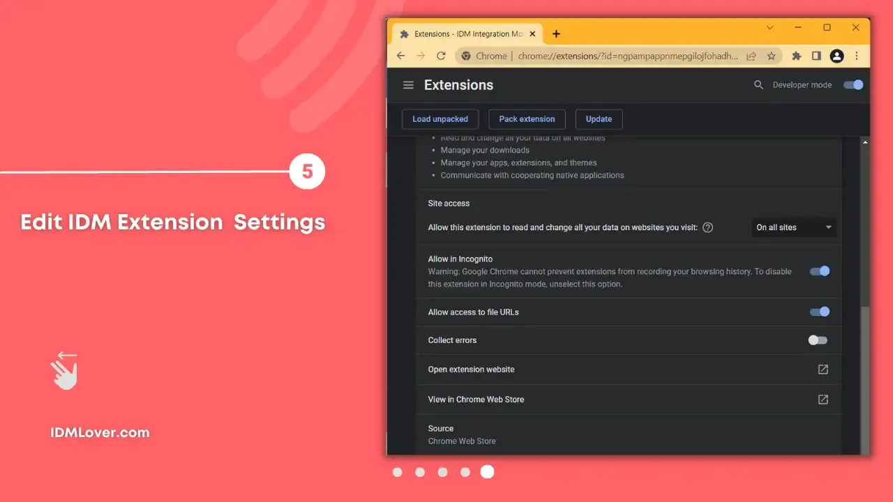 Step 5: Edit IDM Extension Settings