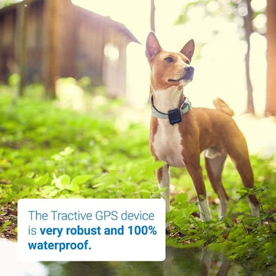 Tractive TRATR3G GPS Dog Tracker