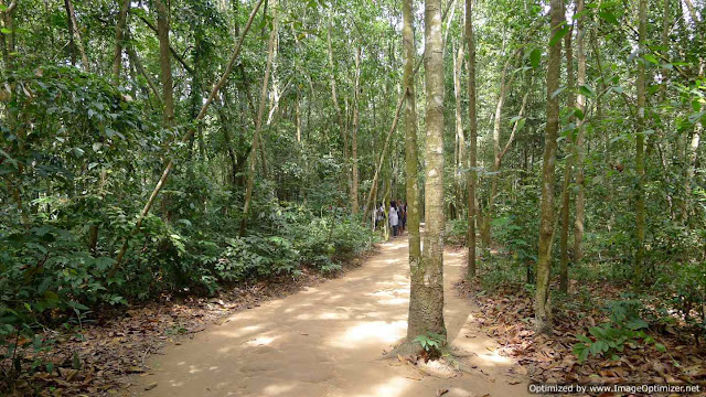 Cu Chi Tunnels Half-Day Tour