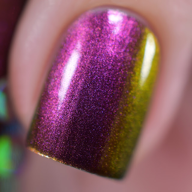 Holo Taco Multichrome Collection