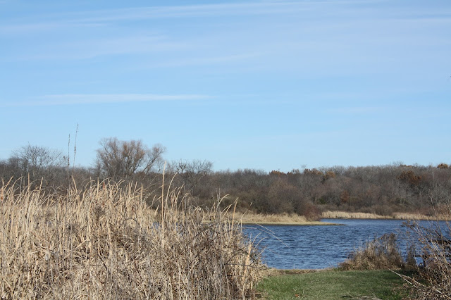 Lake view at Rock Cut State Park