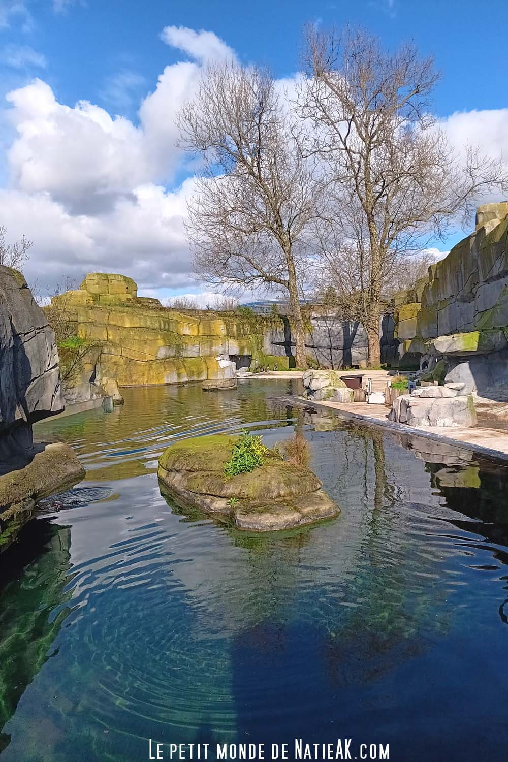 enclos aquatique parc zoologique de Paris
