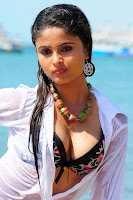 Varsha, hot, cleavage, show, bikini