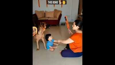 Mujer finge castigar su hijo, el perro reacciona para proteger al pequeño