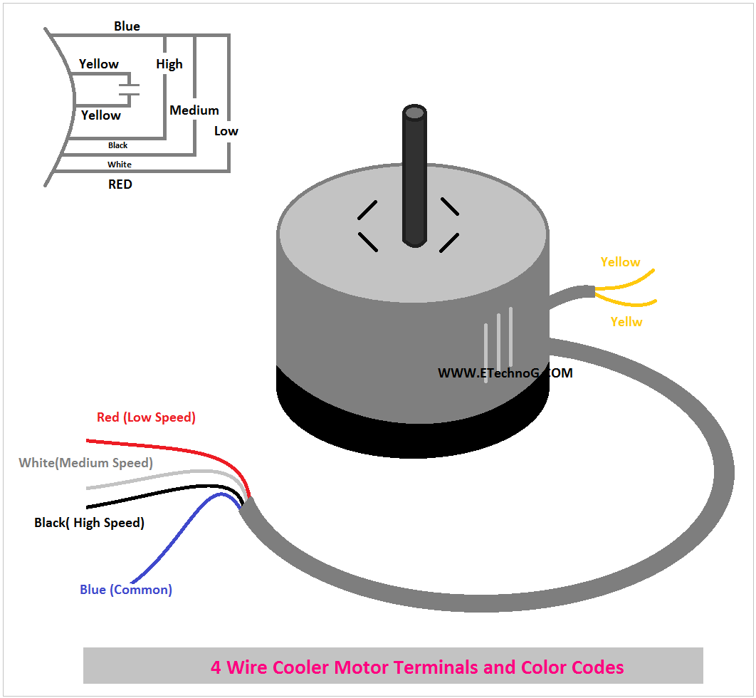 Identify 4 Wire Cooler Motor Terminals and Color Codes for proper wiring and connection