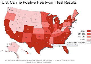 Heartworm incidence map