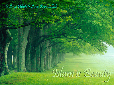 Islam is beauty