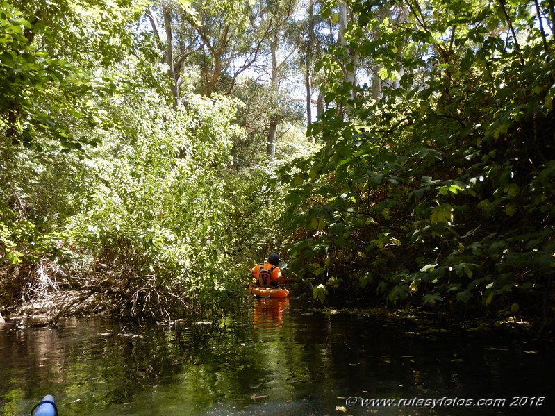 Kayak río Palmones