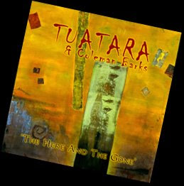 tuatara the here and gone album cover