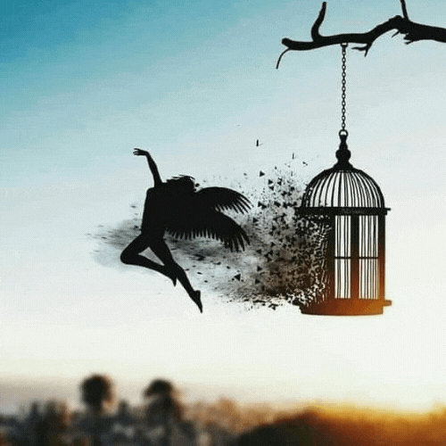 psicologia visual apegos