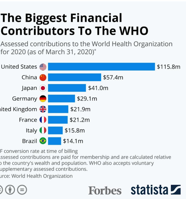 The World Health Organization (WHO)