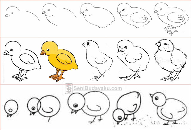 10 Cara  Menggambar  Ayam  Dengan  Mudah  Seni Budayaku