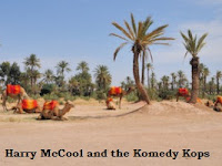Harry McCool and the Komedy Kops