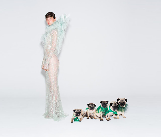 http://www.tatler.com/news/articles/october-2016/video-pug-puppies-and-couture-dresses