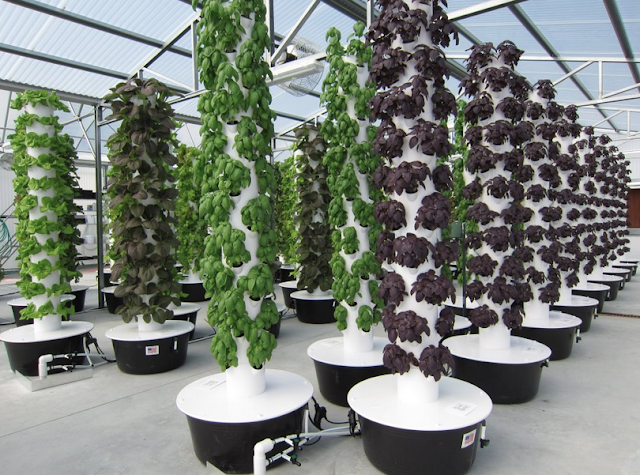 ... and Tour Shows Off Sister-Owned Tower Garden Vertical Growing Systems