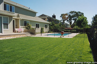 fescue-lawn-Rainbird-Novato