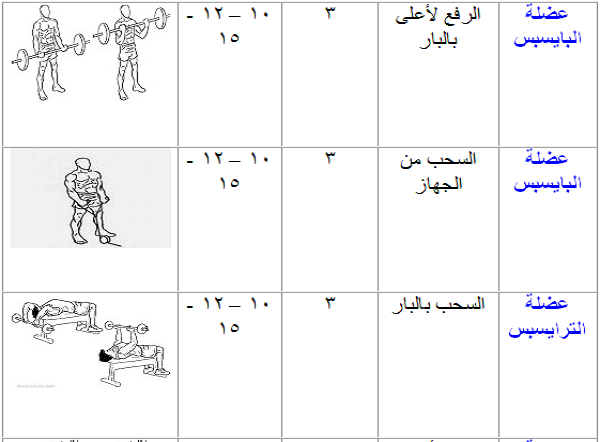 برنامج تدريب جيم للمبتدئين