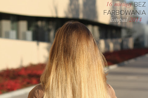 Moje włosy - listopad 2014 | 17 miesięcy bez farbowania włosów - czytaj dalej »