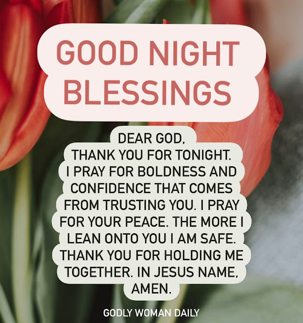 Good Night Blessings - Whoever trusts in the Lord is safe! 💙