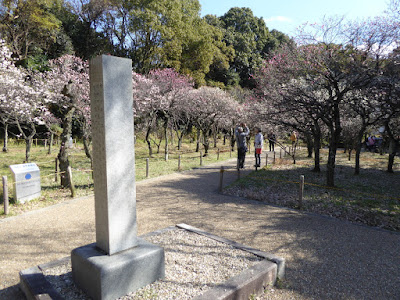 意賀美神社の梅林