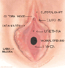 clip_image001