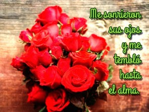  Rosas con Frases de Amor