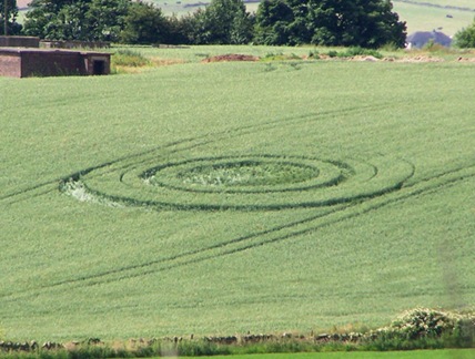 Castle Hill, nr Huddersfield, West Yorkshire. Reported 5th July.