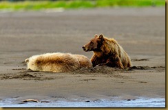 Family Resting