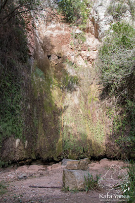 Ruta: Puig de la Creu (668 m.). Un castillo coronando un pico (Els 100 Cims)