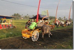 Bali12-IMG_1724