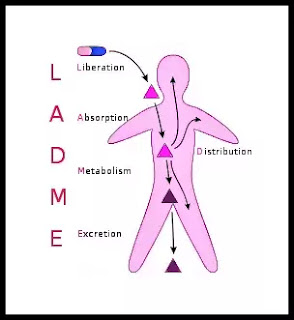 Pharmacokinetics 4 Steps image LADME