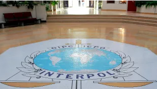 West Africa: Interpol arrests 300 people linked to organized crime