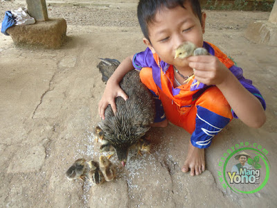 FOTO 1 : Jangan Marahi Anak Yang Nakal.   Dimarahi Justru Bisa Meningkatkan Kenakalannya 