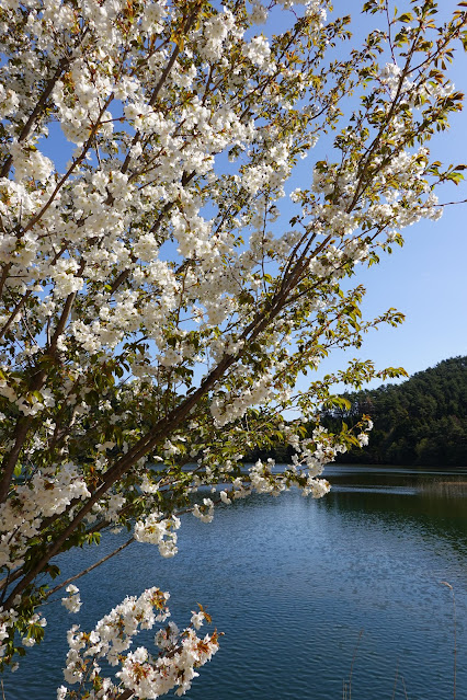 鳥取県西伯郡大山町鈑戸 種原集落の溜池