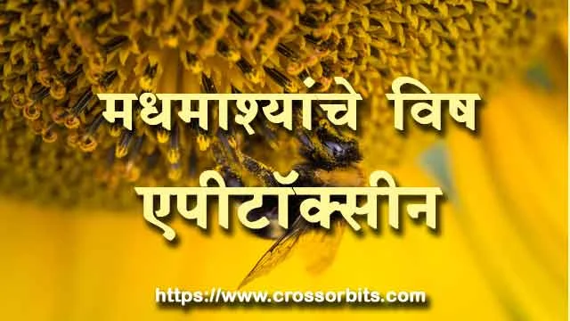 Useful bee venom- Apitoxin