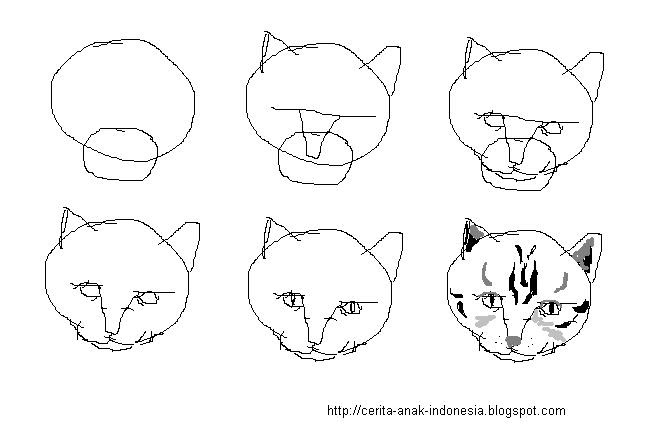 Sketsa Cara Menggambar Kepala Kucing
