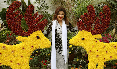 Watch Bollywood Celebs Varsha Usgaonkar At the Flower Exhibition