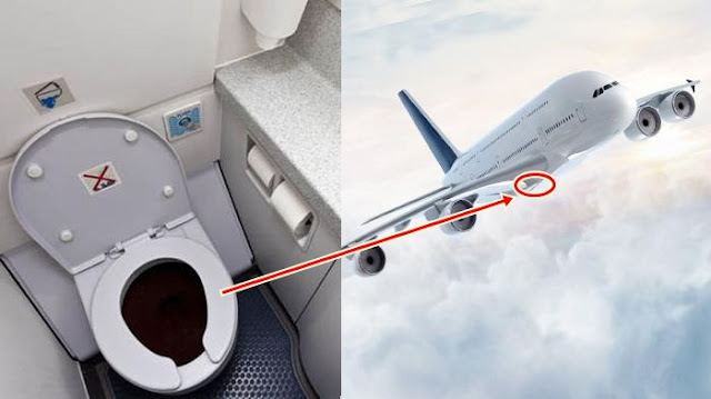Terungkap Sudah Kemana Kotoran Toilet yang ada di Pesawat Dibuang? Anda Pasti Terkejut Setelah Mendengar Ini..