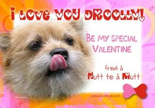Dog Photo Valentine eCards