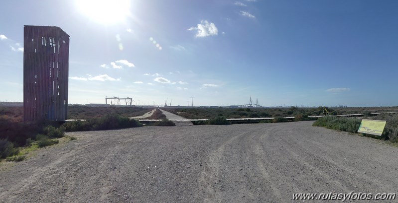 Marisma de los Toruños y Pinar de la Algaida