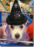 DSC00572