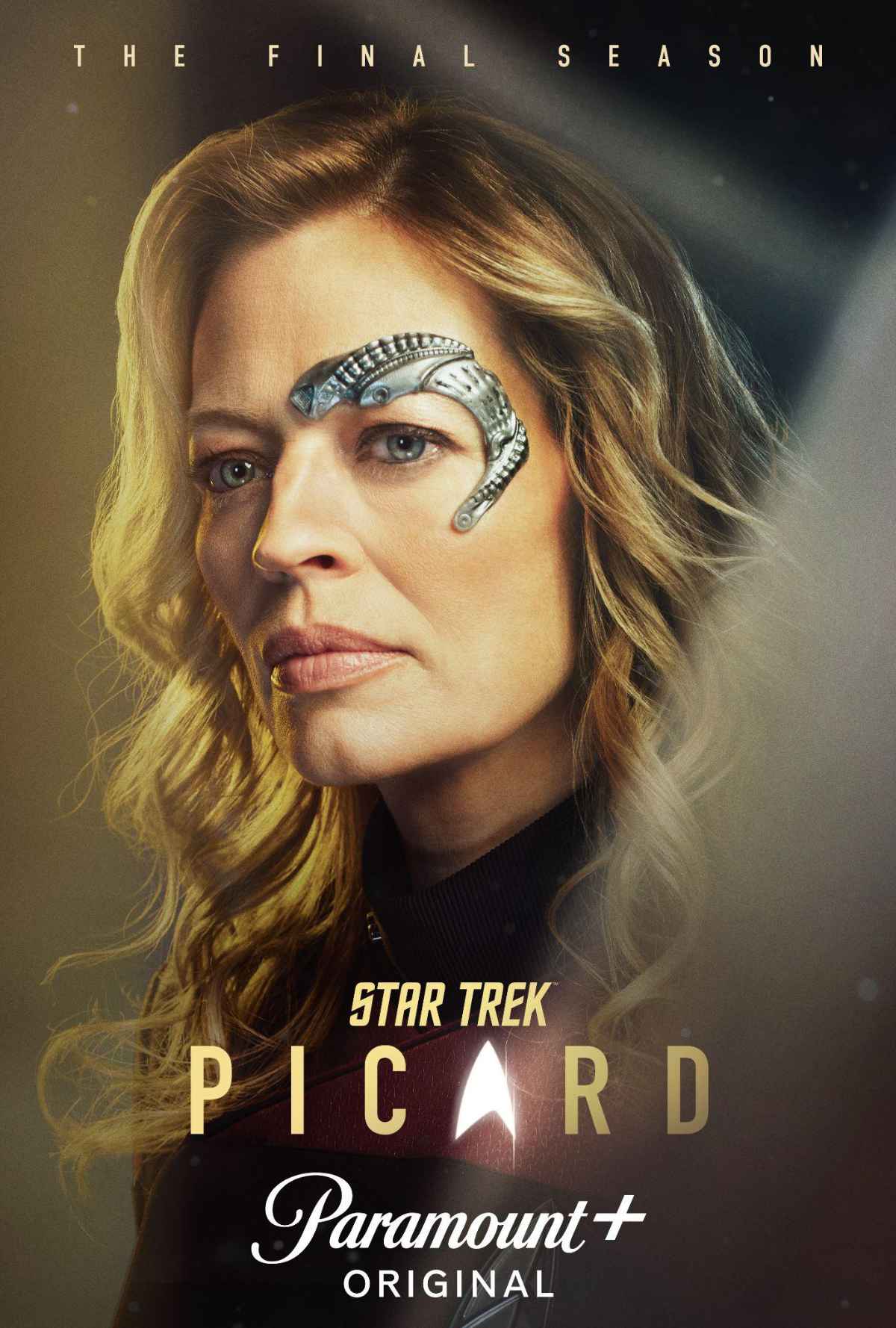 the final voyage picard